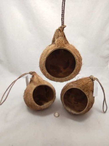 Birdhouse big coconut