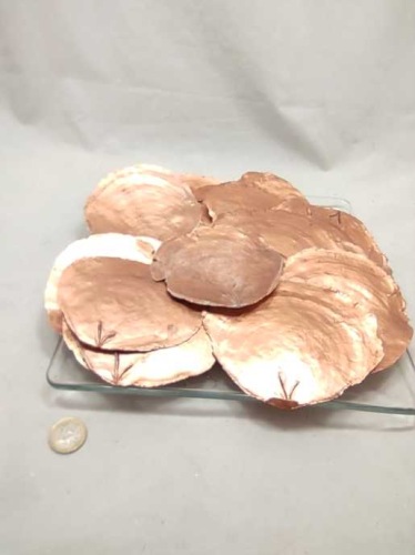 Capiz dia copper 10 cm 500 gr.