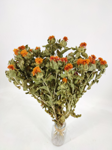 Carthamus oranje naturel