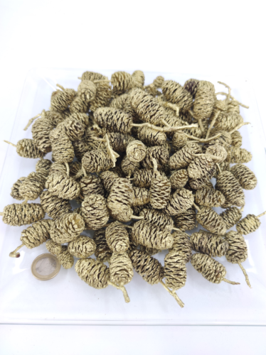 Alder big gold 250 gr.