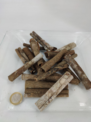 Cinnamon wild 8 cm 100 gr. 
