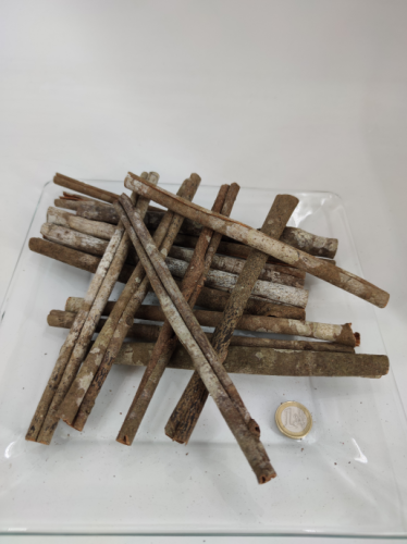 Cinnamon wild 20 cm 200 gr. 