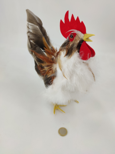 Coq (debout) 25 cm avec de vraies plumes