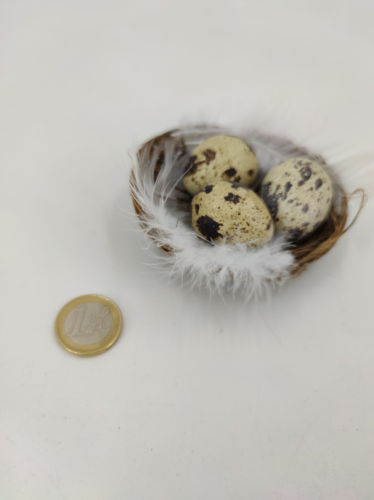 Nid avec 3 oeufs de caille et plumes