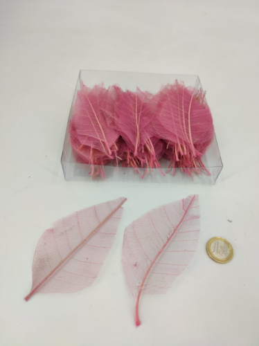 Skeleton leaves magnolia 200 pink