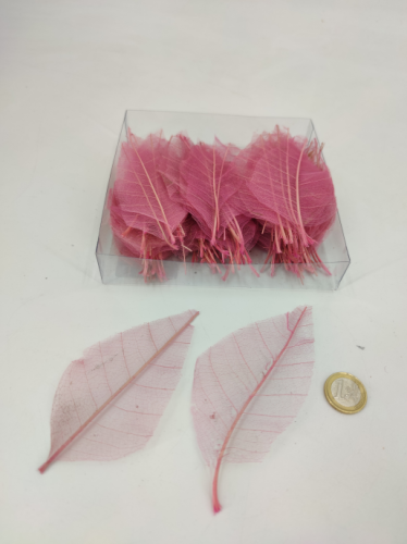 Skelet blad magnolia 200 st. roze