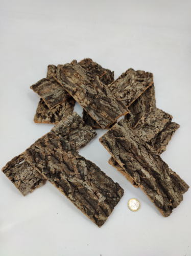 Cork bark 18x8 cm 10 a 12 p.