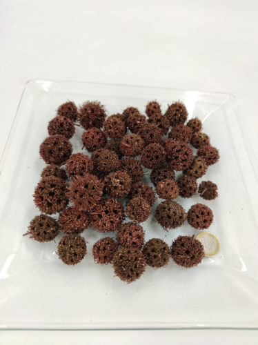 Liquidambar 100 gr. koper