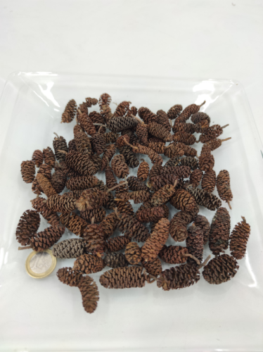 Alder naturel 50 gr.