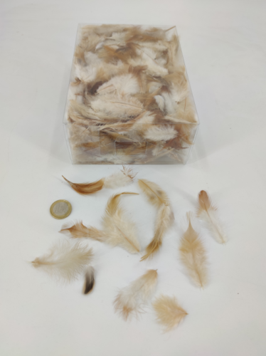 Feathers pheasant box 20x14x7 cm natural