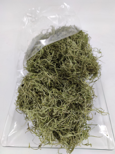 Tilancia moss 200 gr. olivegreen
