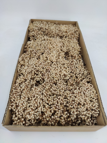 Pepperberries white 12 bundles