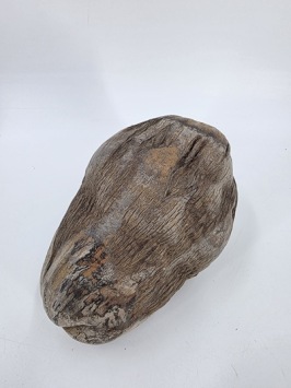 Kokosnoot +/- 20 cm