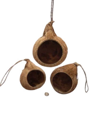 Birdhouse big coconut