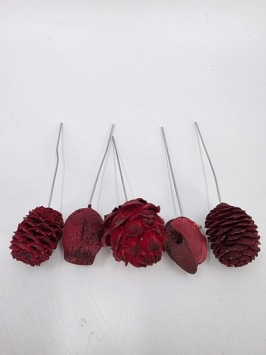 Assortiment Leucadendron op Draad 100 st. Rood