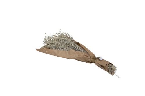 Lino Grass Wit 80 gr.