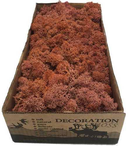 Reindeer moss premium ca. 500 gr. mango