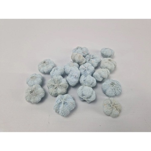 Mini Pumpkin 250 gr Pastel Blauw