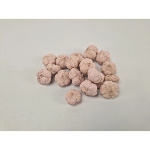 Mini Pumpkin 250 gr Pastel Roze