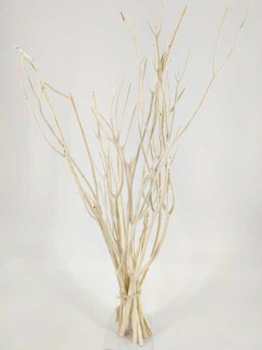 Mitsumata 70 cm blanchi 15 p.