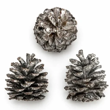 Mugus dennenappels besneeuwde 400 stuks 3,5 cm diameter natuurlijke kegels Pinus mugo voor kransen en kerstdecoratie - Denter