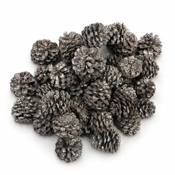 Mugus dennenappels besneeuwde 400 stuks 3,5 cm diameter natuurlijke kegels Pinus mugo voor kransen en kerstdecoratie - Denter