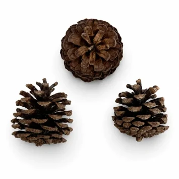 Pommes de pin Mugus naturel 400 pièces 3,5 cm