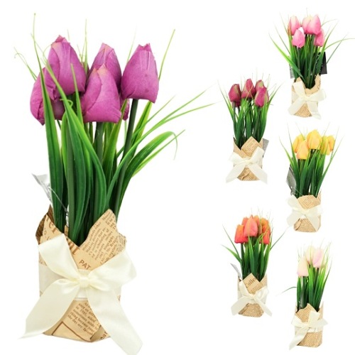 Tulpen In Cadeauverpakking Bordeaux
