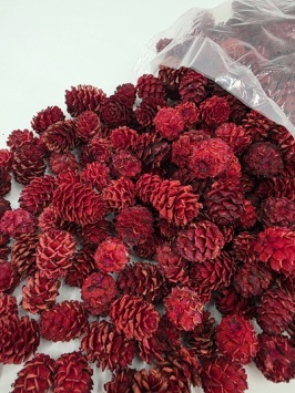 Salignum Rood 250 gr.