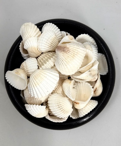 White Chippie small 200 gr.