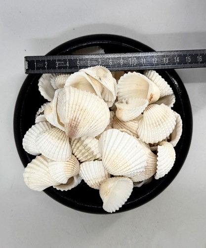 White Chippie small 200 gr.