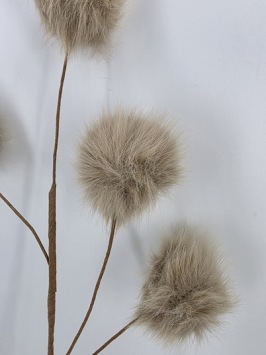 Stem Fluff Ball Light Brown 65 cm