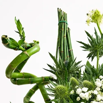 Zu gut um zu gehen Bouquet - Frisch