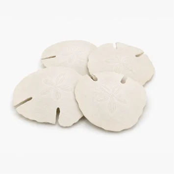 Zanddollar Arrowhead 12-15 cm 4 st.
