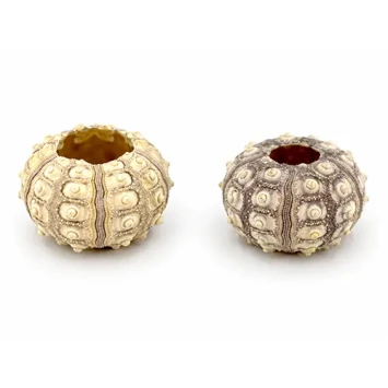 Zee egel Sputnik ca 6 cm 12 st - bloemschikmateriaal - Dentergem