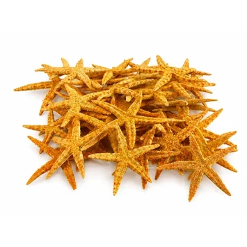 Zeester 5-7 cm sugar starfish 100 st.